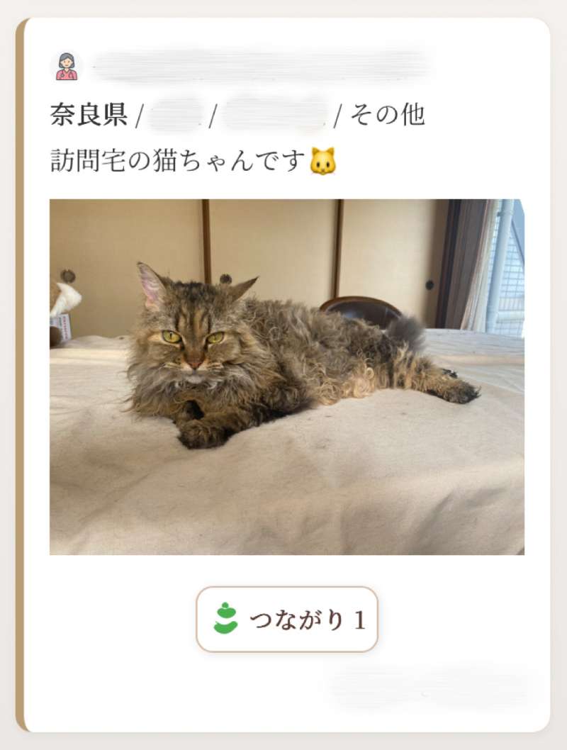 投稿例